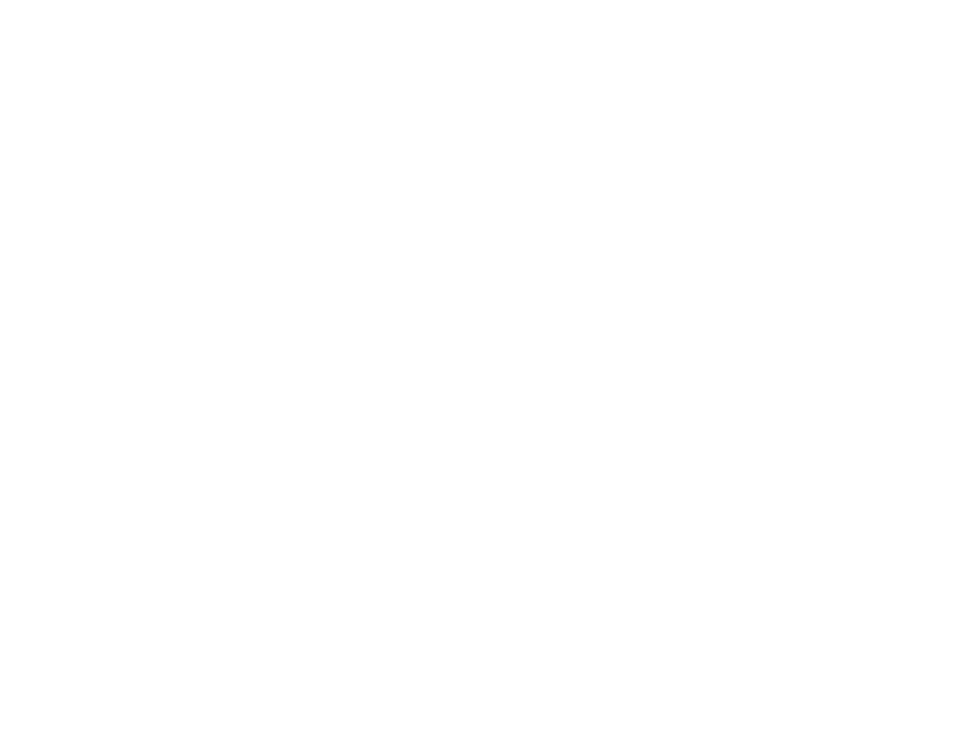 Sellmo logo